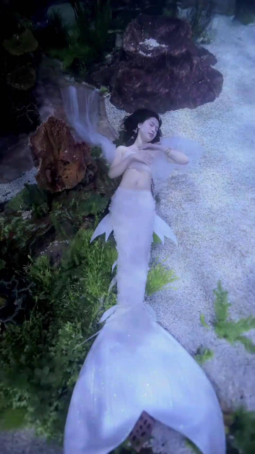 的存在我会是你的公主吗北海海底世界 大胆做自己超美的 王丸丸美人鱼