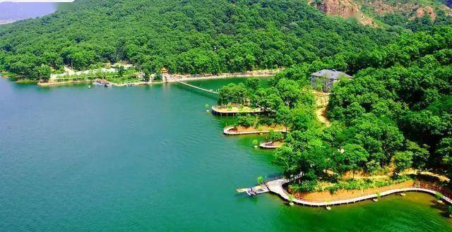 光叶蕨的传奇：近乎灭绝后的种群复苏 珍稀植物光叶蕨：消失40年后的重现与保护