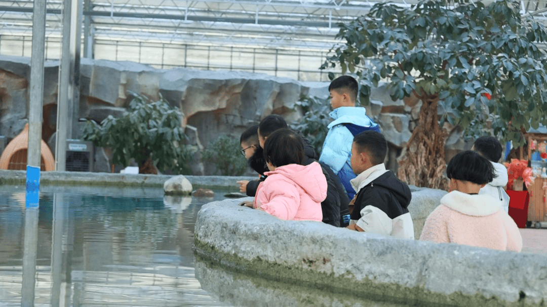 颇洞景区:萌娃喜游园 新年乐开怀