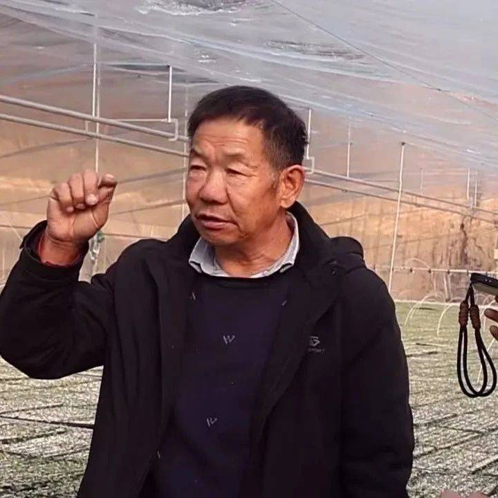【专题纪实】长治一位62岁的“农业达人”,在怀仁过的第七个春节...(图文)_呼喜林_农户_温室大棚
