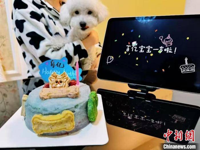 雷火竞技新春走基层）宠物年夜饭热销 专家：“宠物+”跨界融合迎新机(图1)