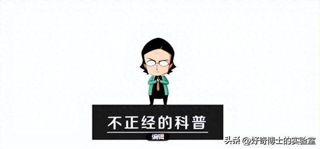 探秘高铁速度：山东及其他地区的慢因