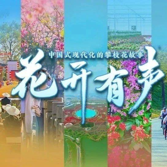 海报发布！慢不是“慢”，漫也是“漫”——中国式现代化的攀枝花故事系列报道（八）推出_四川省_康养_示范区