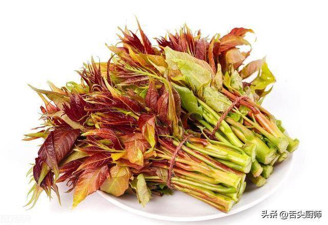 香椿：春菜之王的美味烹饪法 香椿的独特魅力：三种烹饪方式全解析