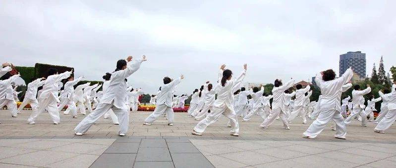 练功四步走 健康步步高_教学_比赛_健身