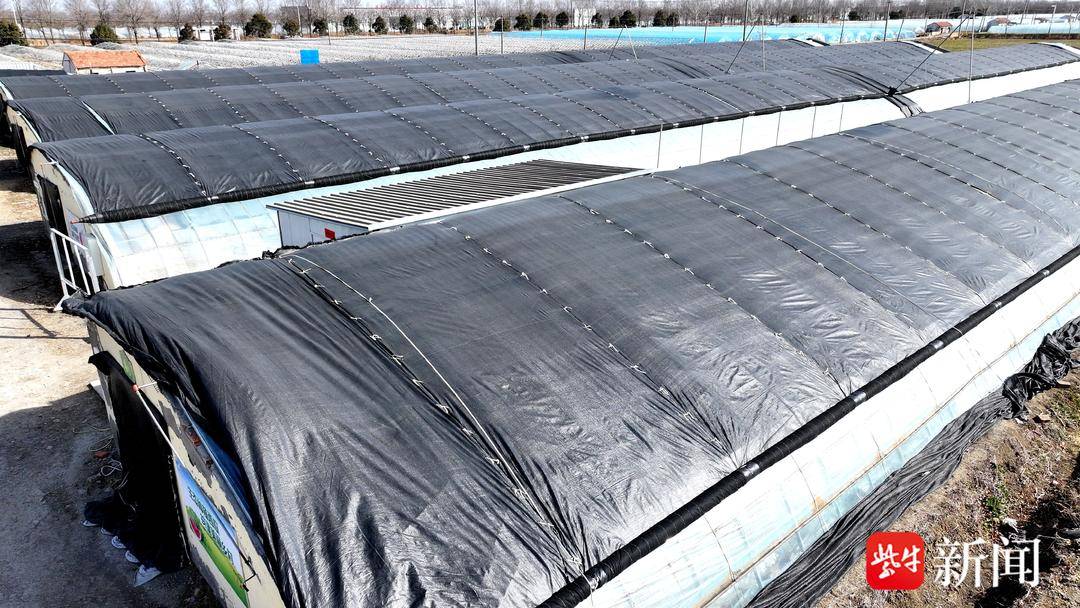 大棚有两层保温设施,两层薄膜,然后再加一层保温被,"我们早上放棚时间