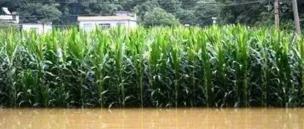 英语每日一句 这场暴风雨使庄稼受到了很大损失_学习网_陪练_口语