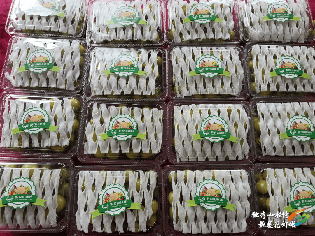 开云体育网址【乡村行 看振兴】独山县：大棚蔬菜绿意浓 错峰上市助增收(图6)