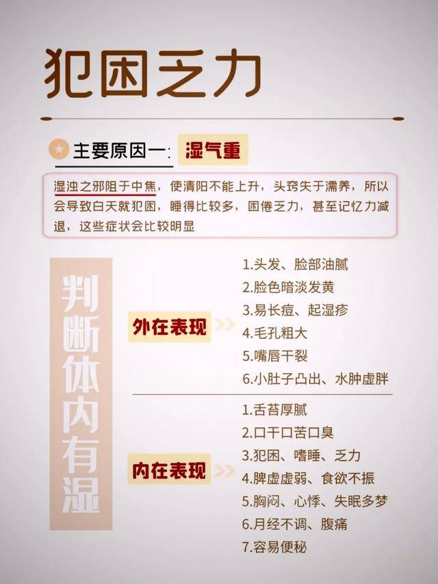 原创摆脱春日困倦：揭秘湿气与气血不足的真相及调理妙方