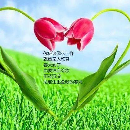 浓缩就是精华!中国谚语500句!值得品味!_类别_我国
