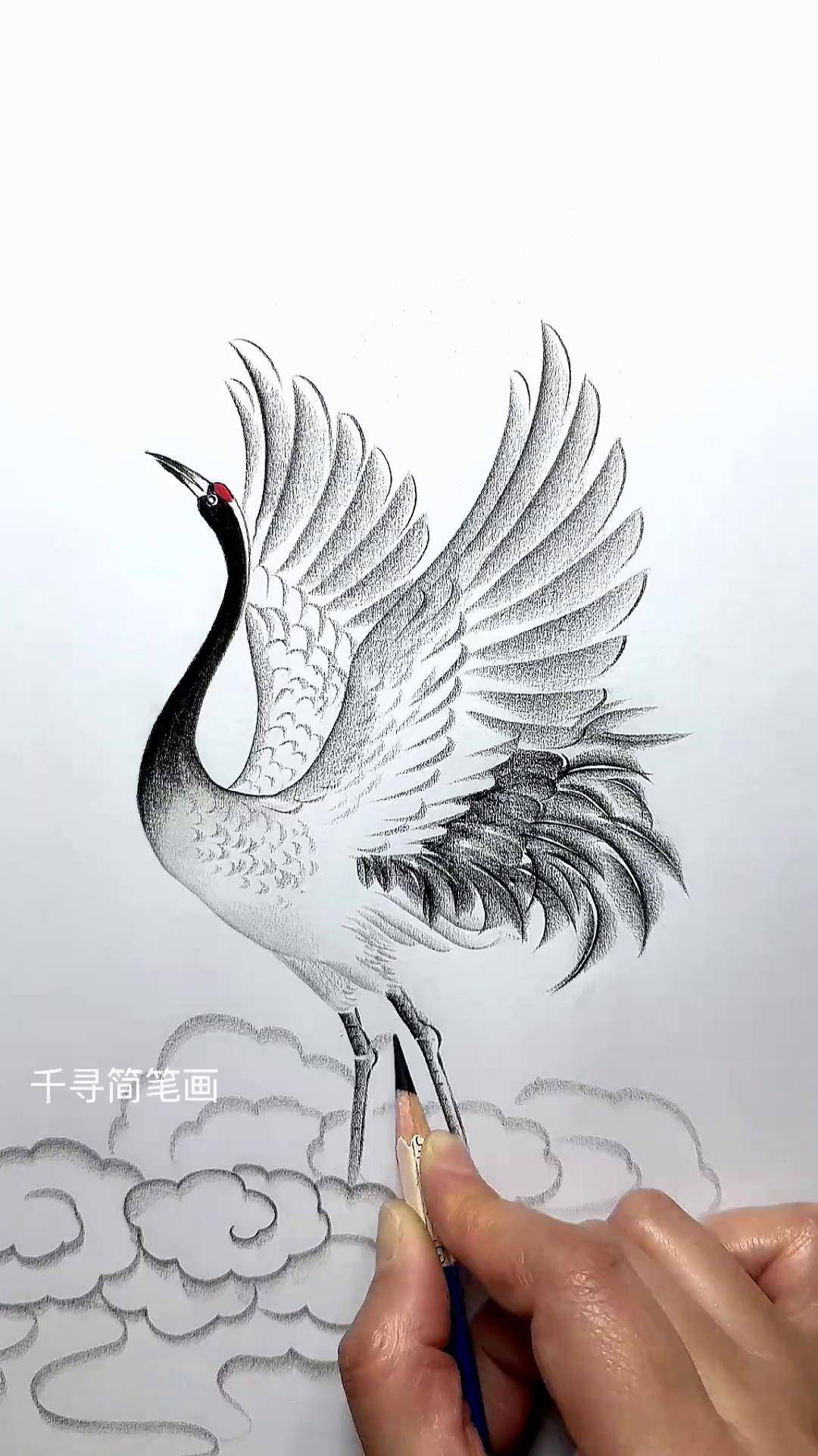 简单几笔画仙鹤零基础学画画 炭笔画