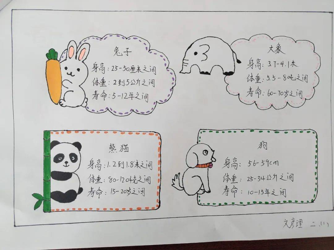 有的动物会飞,比如小鸟和蝙蝠;有的动物会游泳,比如鱼和海豚;还有的