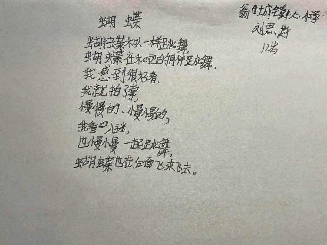 中国乡村少年诗歌讲习日记 4