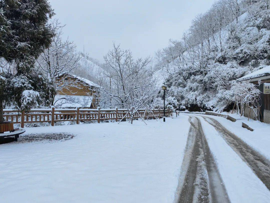 零下7℃！大到暴雪！剛剛確認：杭州又來一波猛的！周末出門千萬注意.....