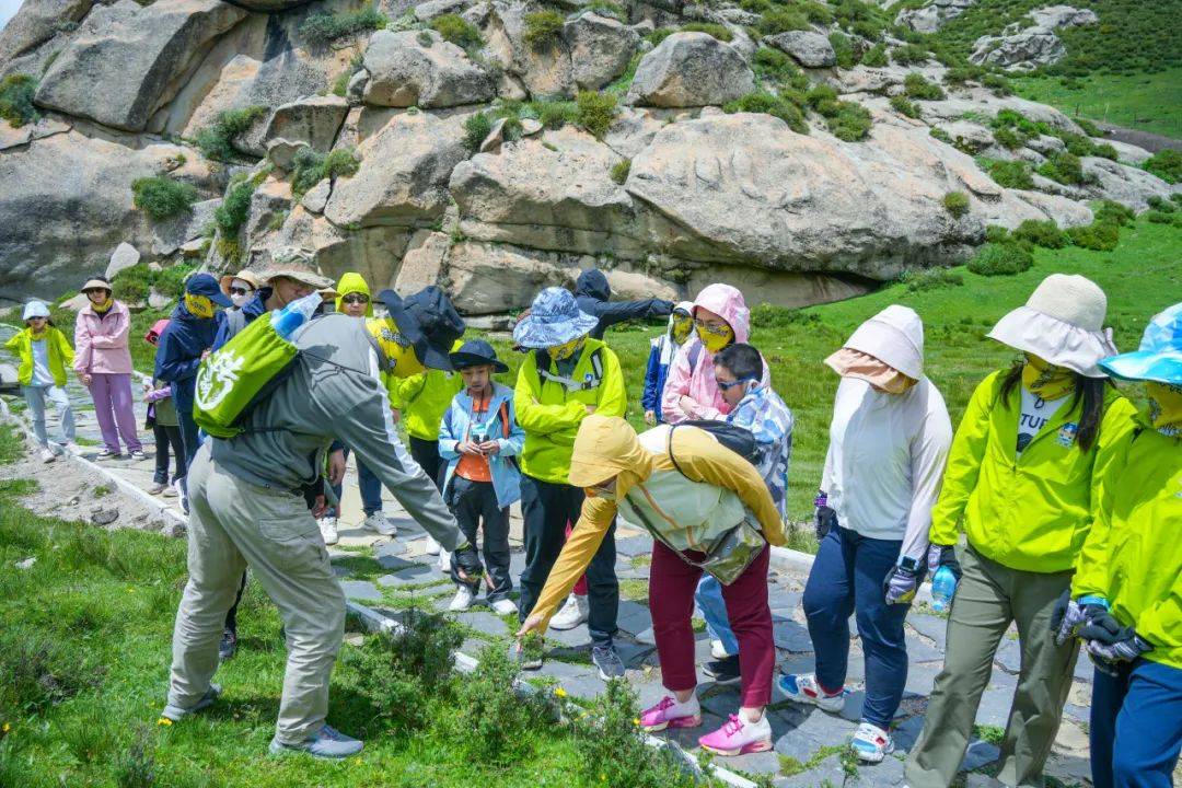 跟团游报名:开启一段说走就走的旅行