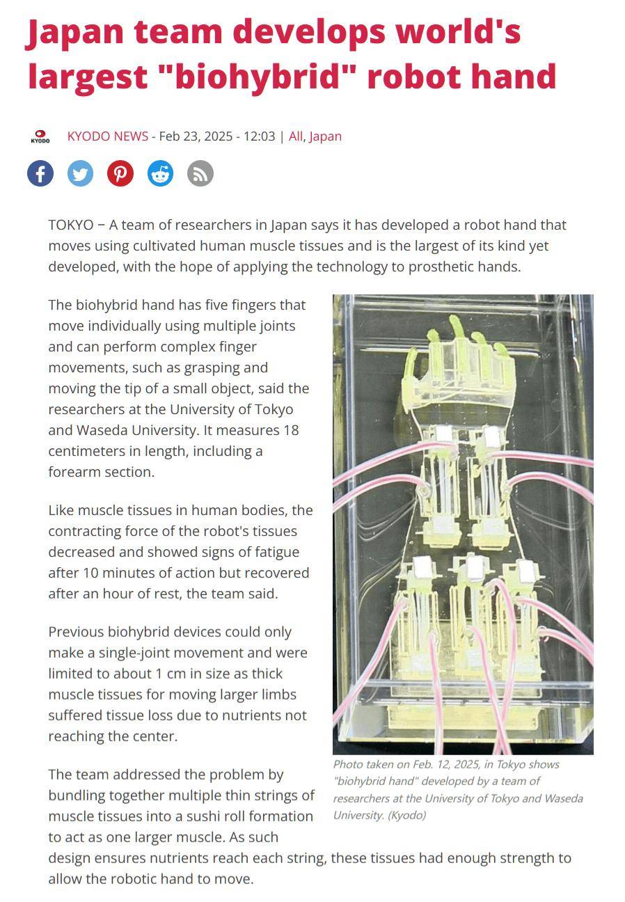 日本研发出全球最大生物混合型机械手，采用人类肌肉组织驱动