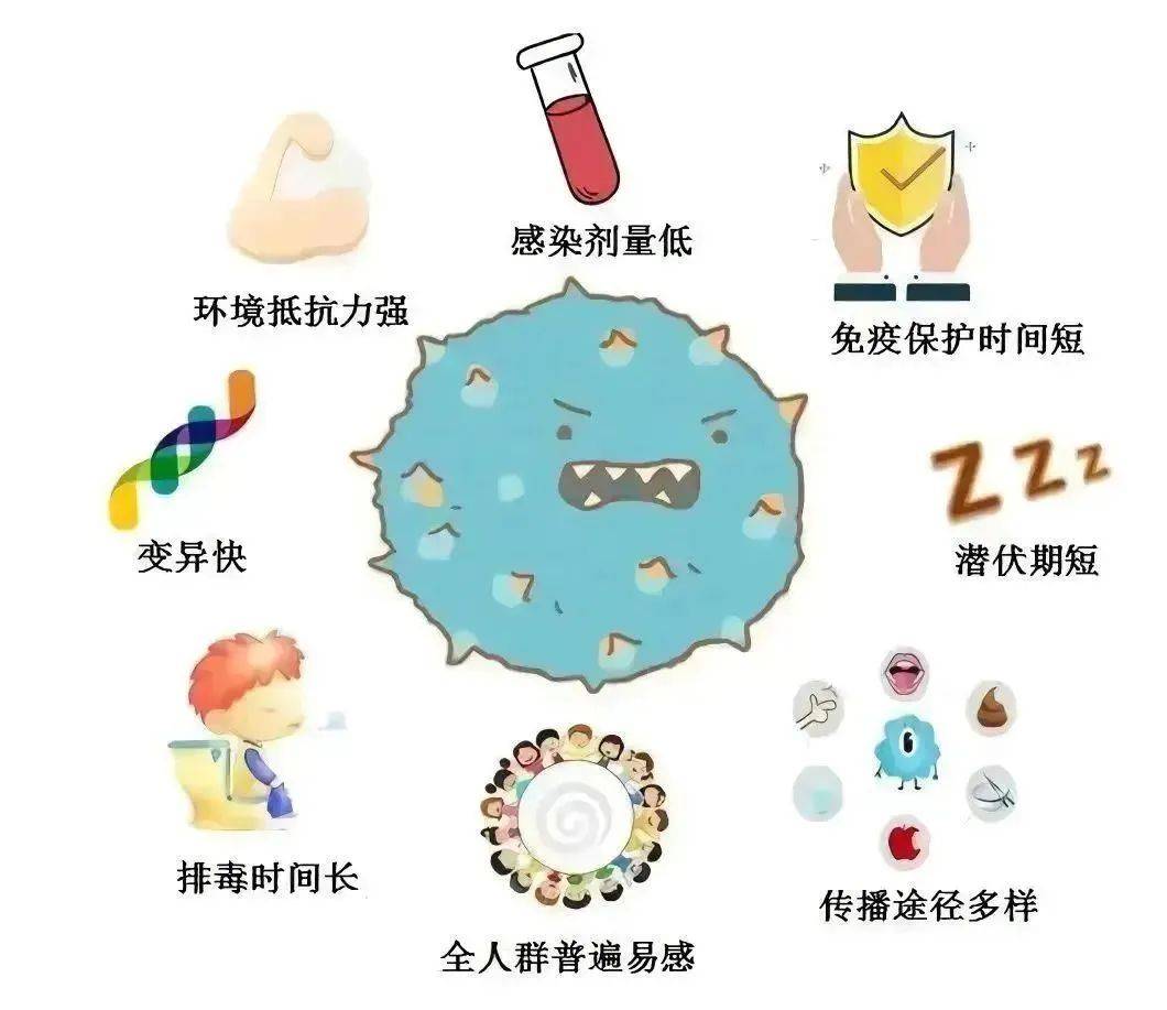 诺如病毒进入活跃期，如何正确防控
