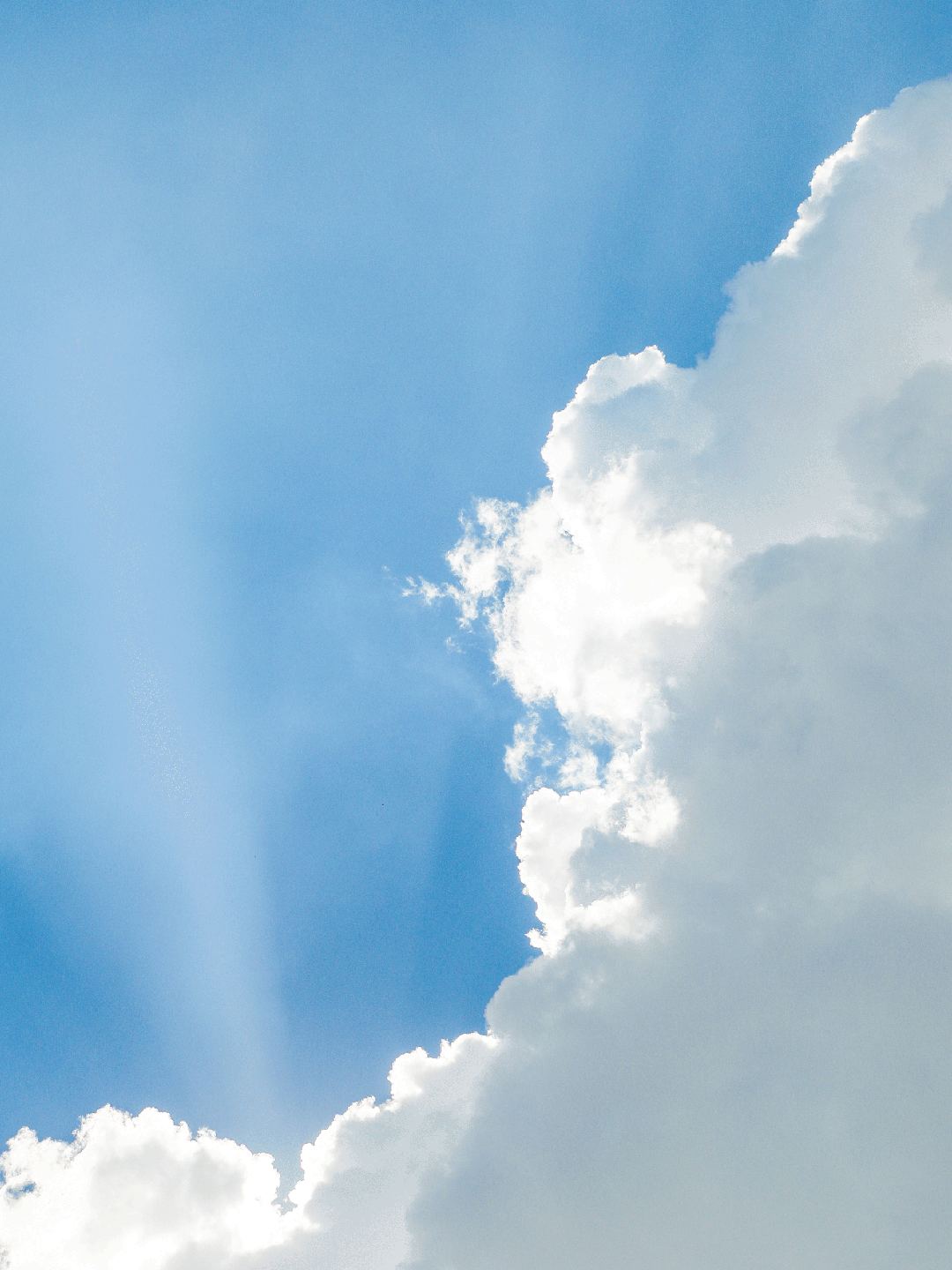 就现在,抬头看!宝安的"漫画天"超治愈