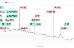 焦点复盘科创50指数重挫逾4%，全市场不足600股飘红，算力、机器人概念多股遭遇跌停