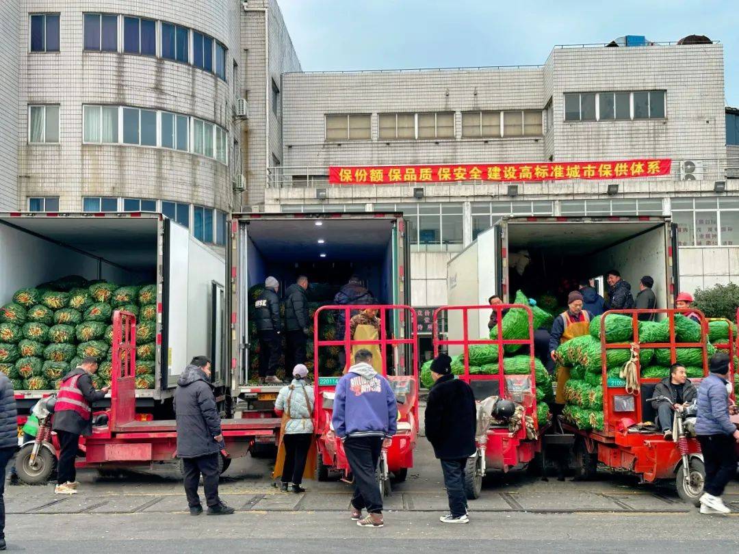 温江食品批发行业的最新动态