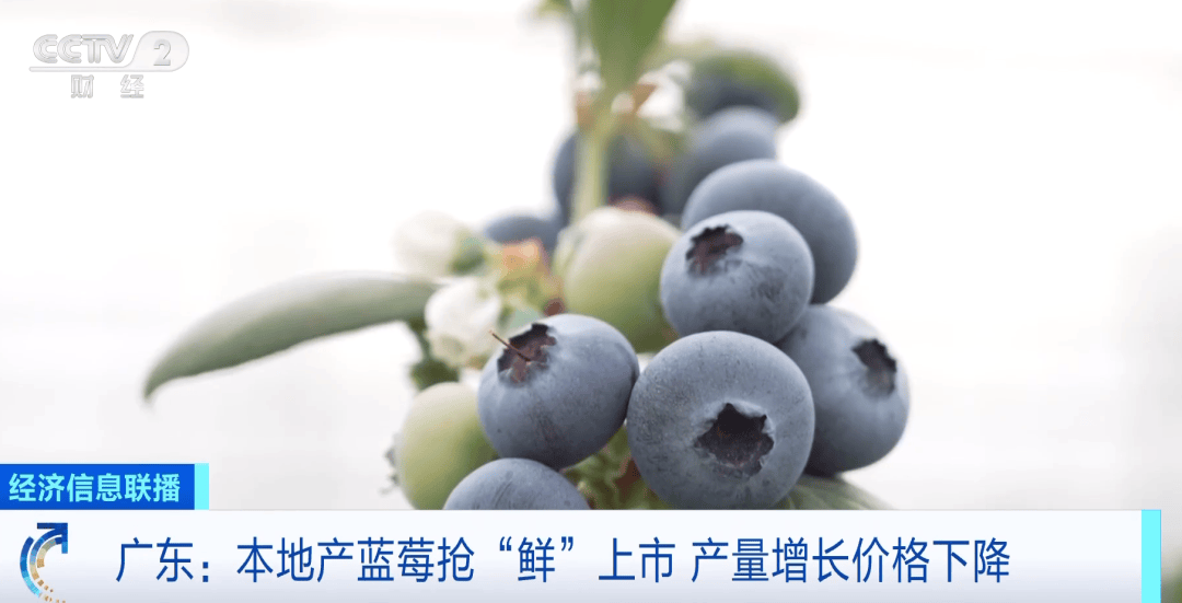 这种水果价格大跳水正大量上市开云体育官网(图1)