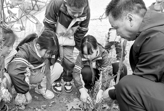 华阴市教育局局长简历（华阴市教育局网站入口）素质教育，