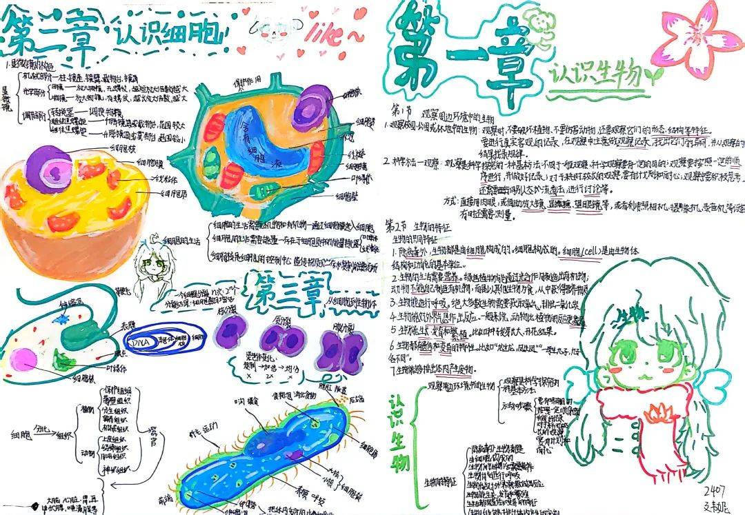 学七年级生物动画
  第1张