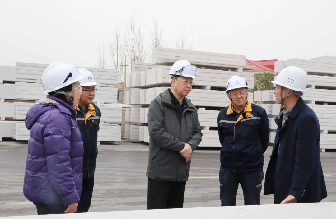 中铝资产外部董事调研中州铝厂