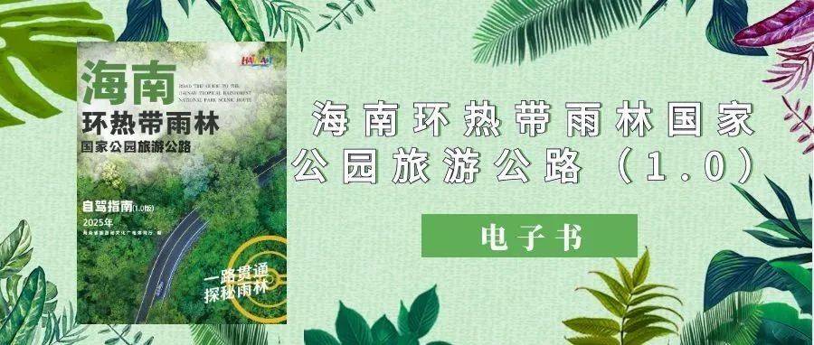 《海南环热带雨林国家公园旅游公路自驾指南（10）版》电子书贴心上线信息游客资讯 