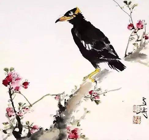 王雪涛画的八哥不是鸟，是穿着黑缎子马褂的老艺术家！