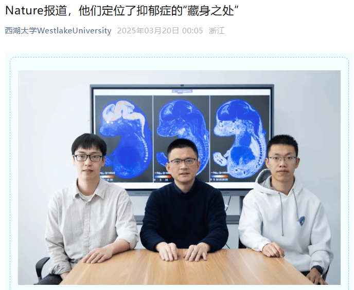 西湖大学杨剑团队开发gsMap技术精确定位脑疾病相关细胞