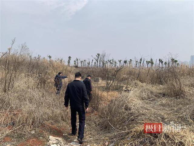 4男子盗卖12座高压电塔 以废钢价格卖出获利53万