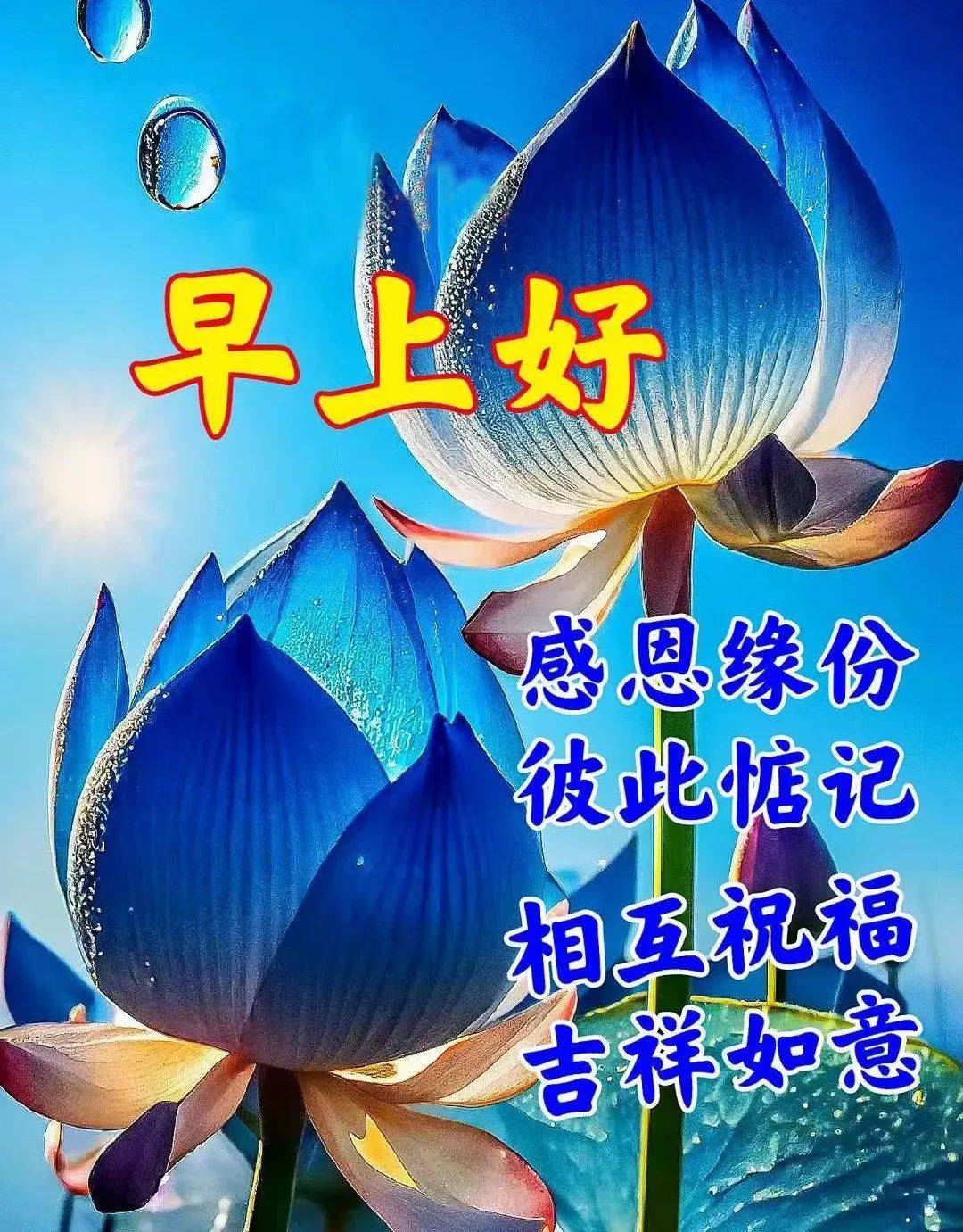今天最新早上好问候语,天天牵挂,真心在乎