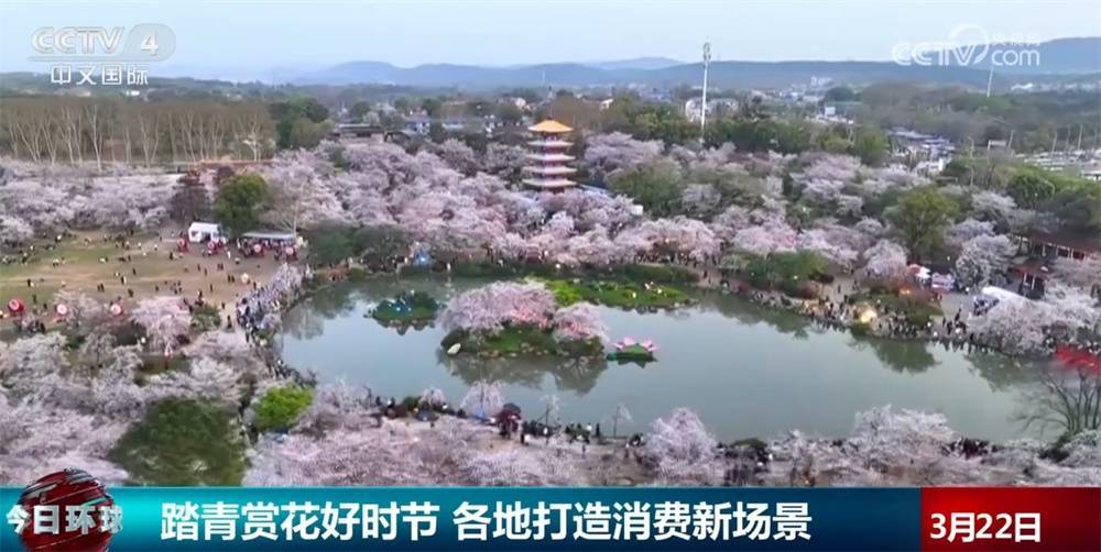 “赏花热”催生“赏花+”消费新场景 “花样经济”带你解锁无限可能