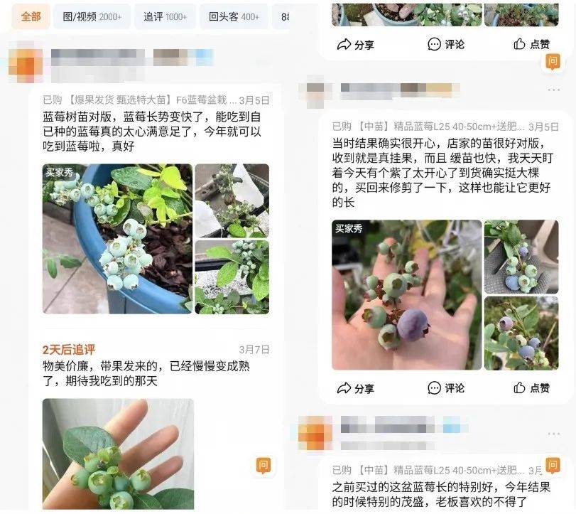 美嘉体育网址暴涨246%一个月卖掉超百万盆商家：今年春天突然火了……(图1)