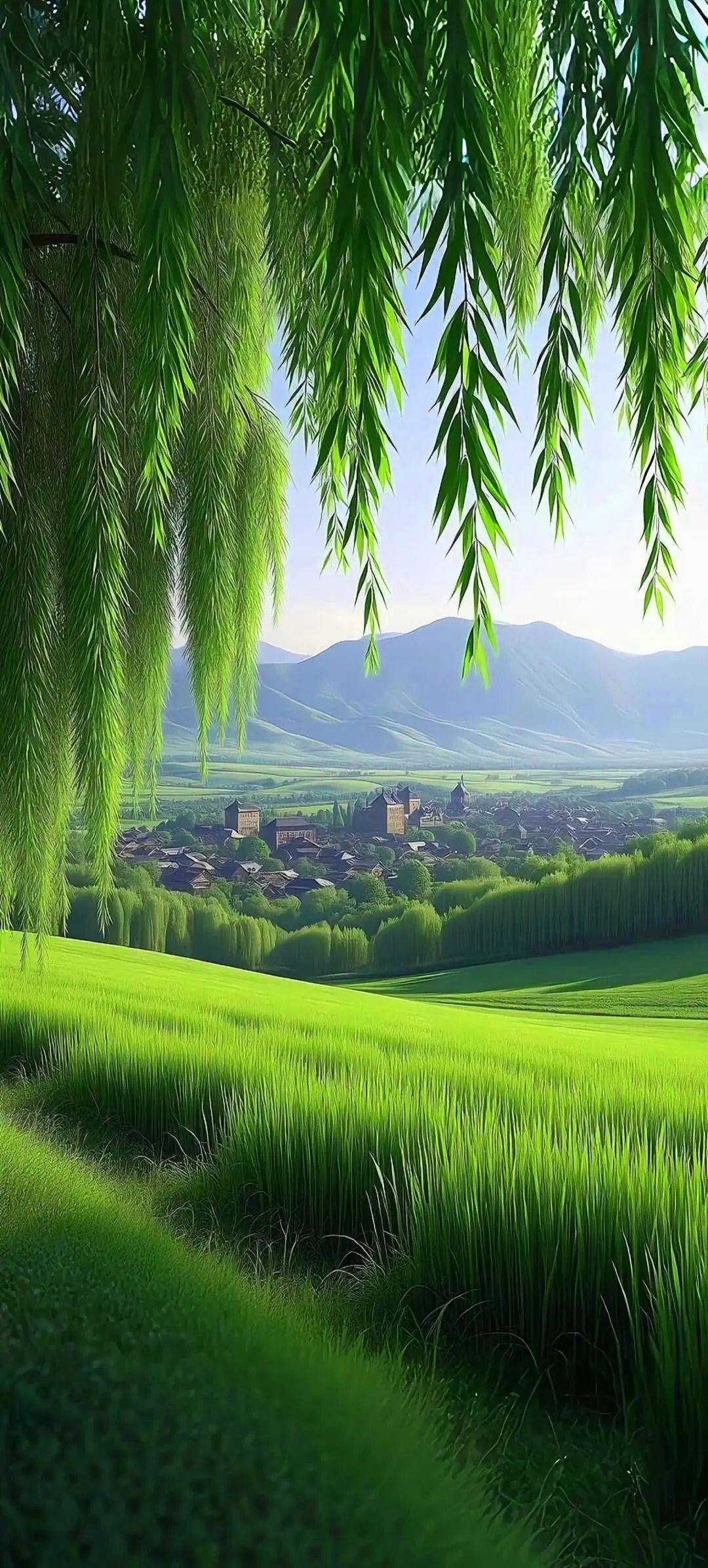 满眼的绿:送你护眼屏保