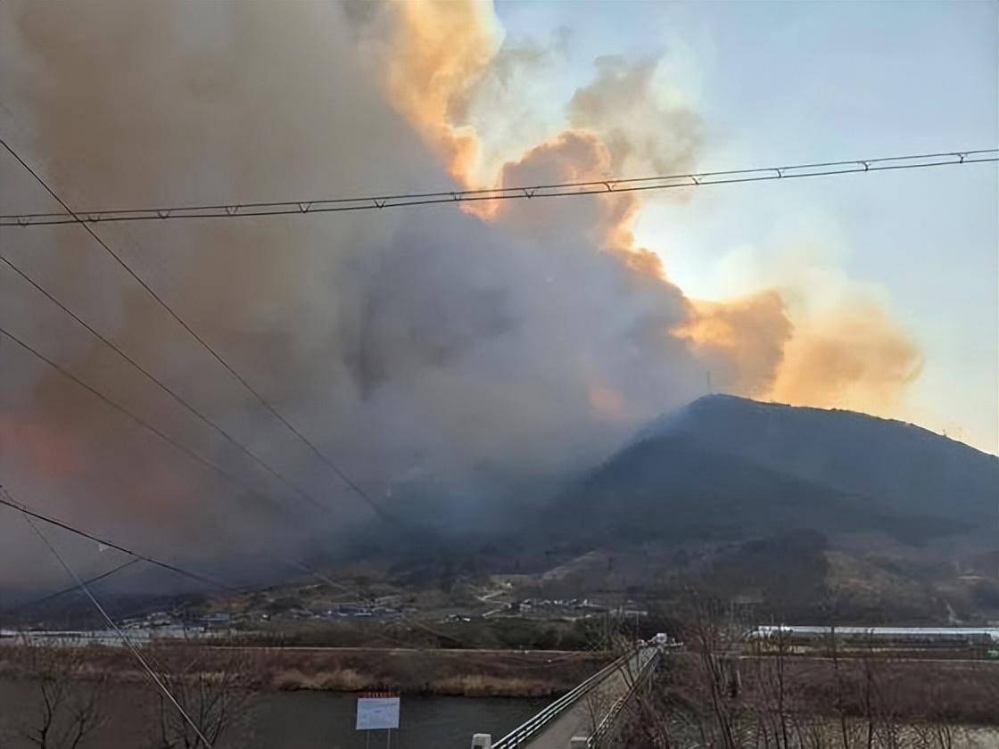 韩国山火肆虐蔓延，4消防员殉职700人避险，代总统发声！