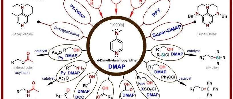 Dmap Application 常用试剂----DMAP_反应_files_催化剂