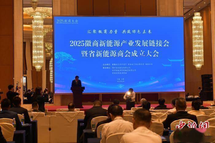 安徽新能源产业强劲崛起，商会成立应对多重挑战