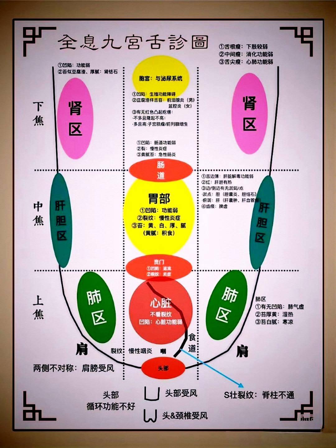 熟读舌诊七决歌,再世华佗神话传欲识来君百病源,……_黄而_白而黄_五色