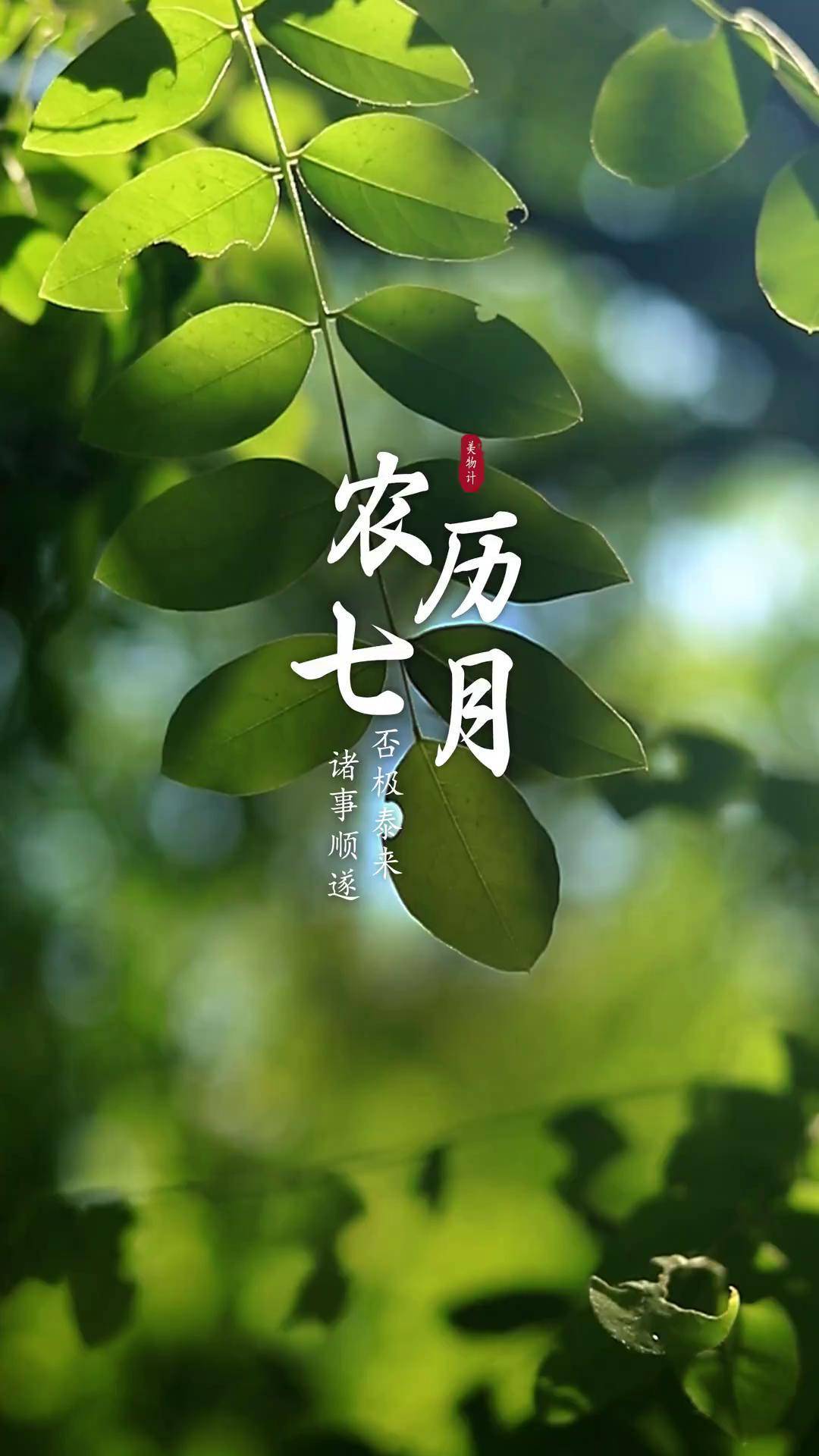 今天是农历七月初一,也称兰月,清爽的秋天正在路上,好运与幸福都在