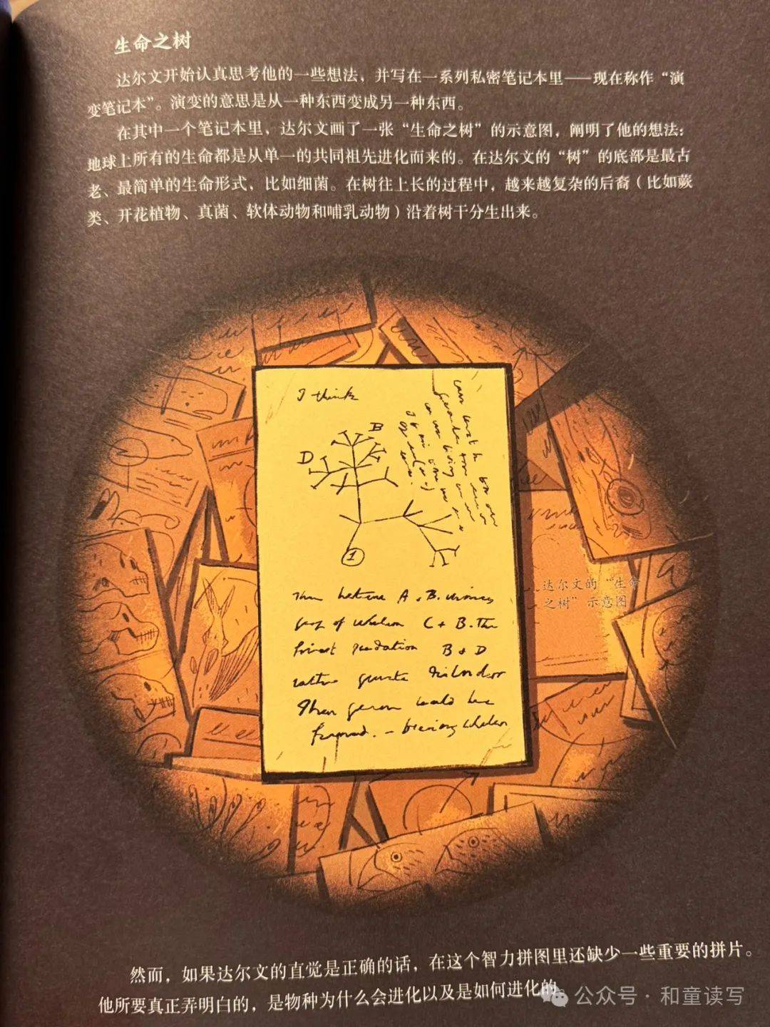 两本传记一本图像小说各有光芒