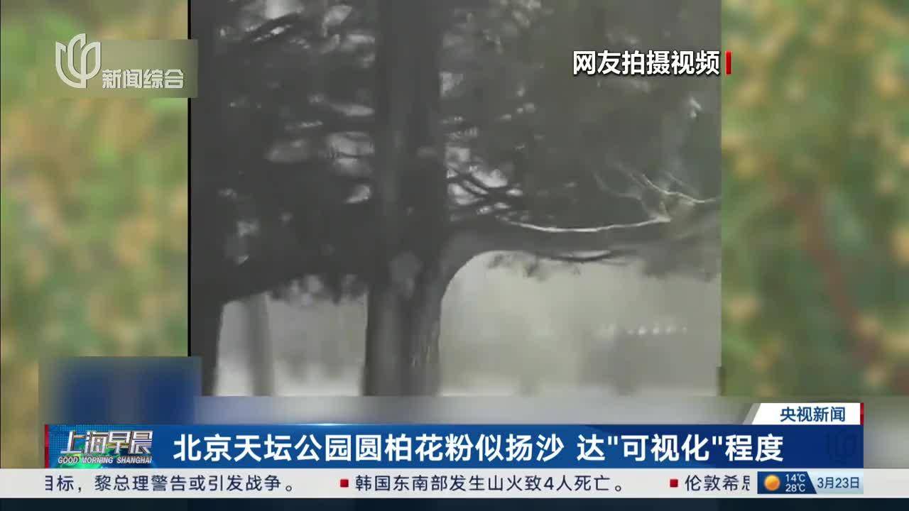 过敏这么严重,把圆柏砍了行不行?_北京天坛_花粉_过敏原