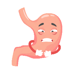 240_240gif 动态图 动图