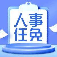 干部任职公示_大学_正职_机关