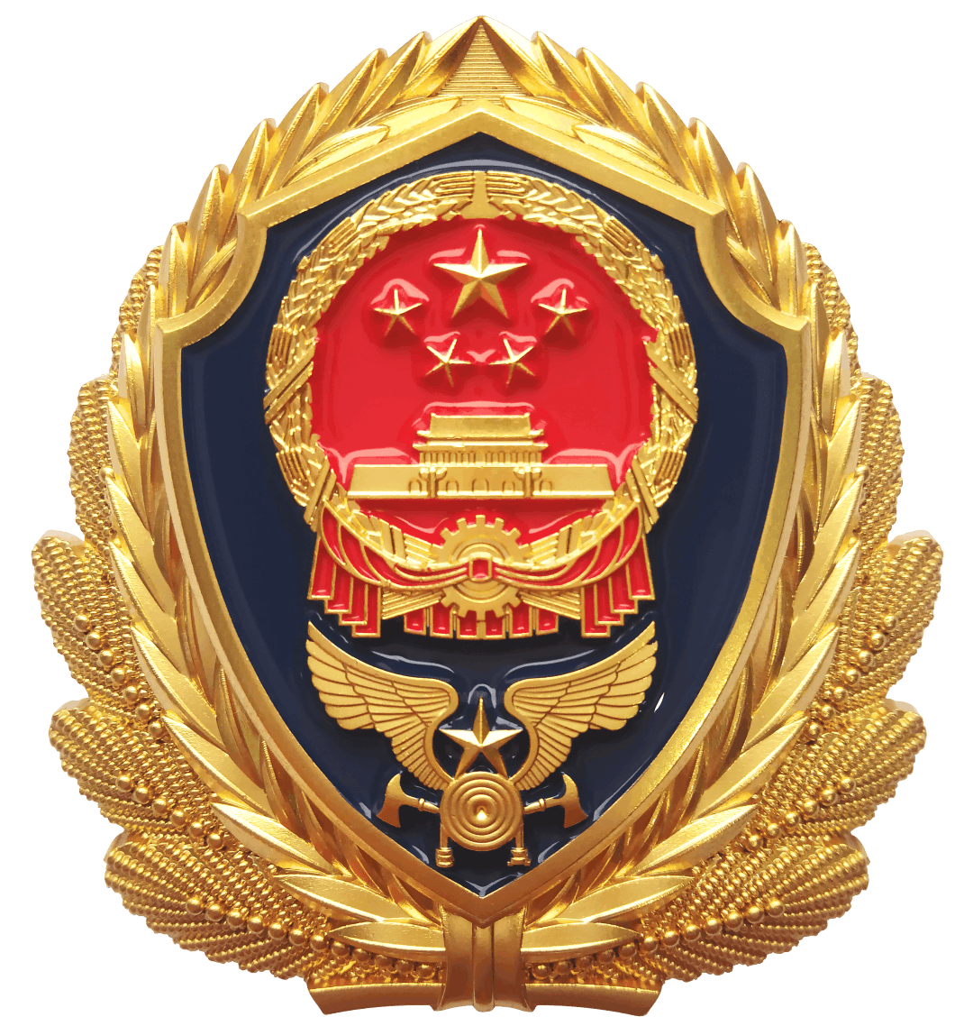 对标看齐 固本强基丨漳州市消防救援支队举办2025年度全市首批政府