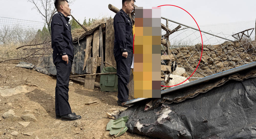 淄博沂源公安:"灰太狼"被抓住了