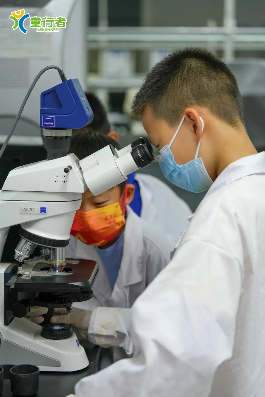高考生物微生物培养实验(微生物实验室培养高考综合题)