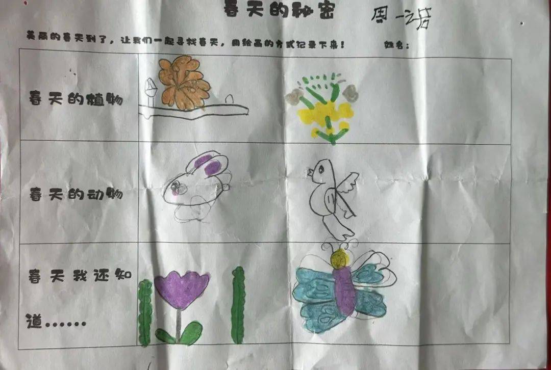【园本活动】春天的秘密