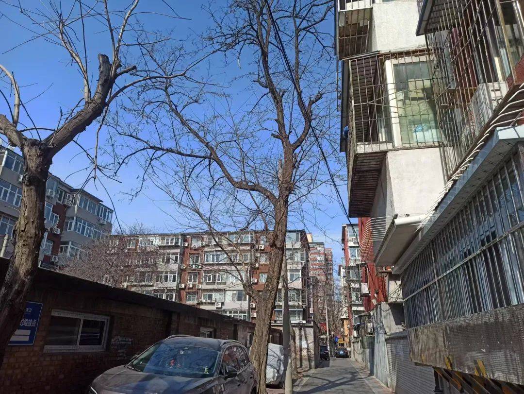 为了买法拍房，我辞去工作当“卧底”